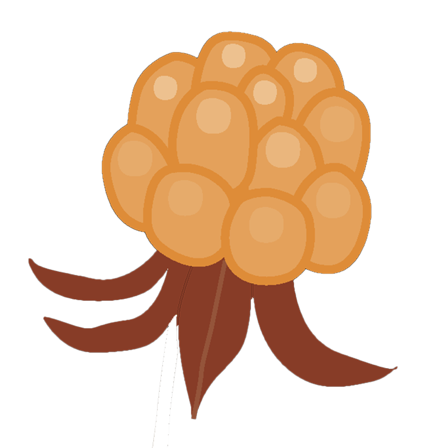 HILLAT -kuosin kaikki tuotteet