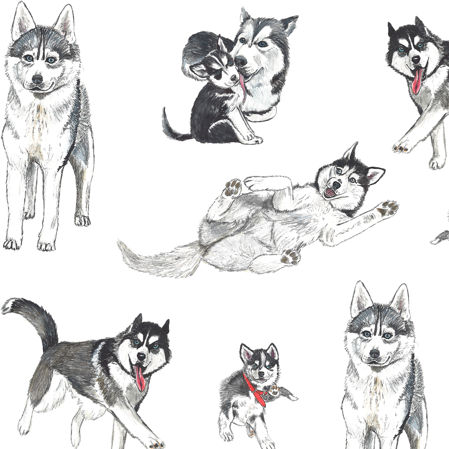 HUSKYT -kuosin kaikki tuotteet