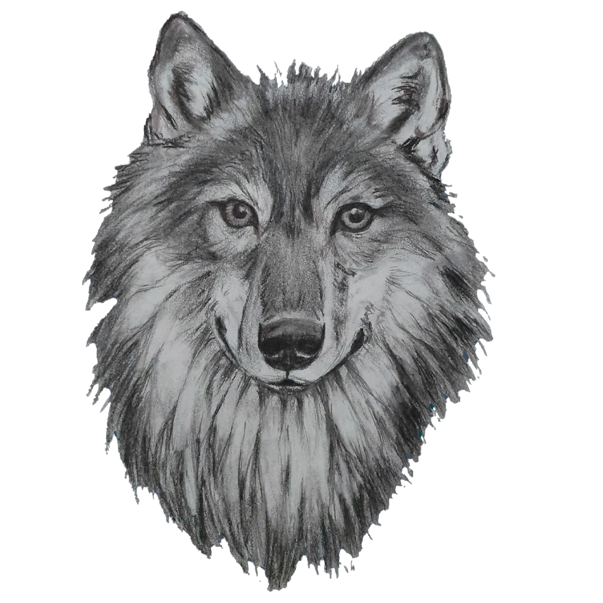 SUSI -kuosin kaikki tuotteet