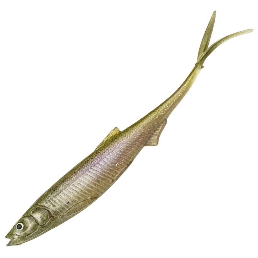 EVÄ Baits Smelt V-Tail 20cm